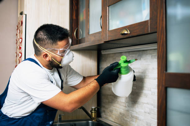 Best Commercial Pest Control Services  in USA